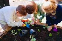 Οι μικροί κηπουροί ομορφαίνουν το Σχολείο μας!