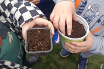 Μαθαίνουμε για τους σπόρους...φυτεύοντας το μέλλον!