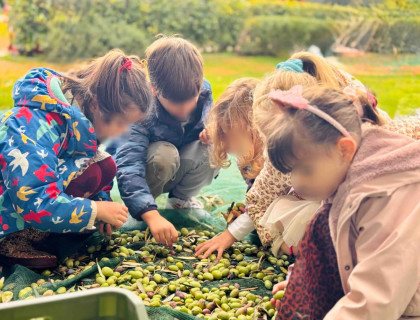 Λάδι, το πολυτιμότερο αγαθό που παράγουμε από τον ελαιώνα μας