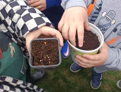 Μαθαίνουμε για τους σπόρους...φυτεύοντας το μέλλον!