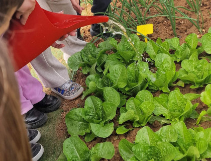 «Τρώμε υγιεινά, μεγαλώνουμε σωστά»