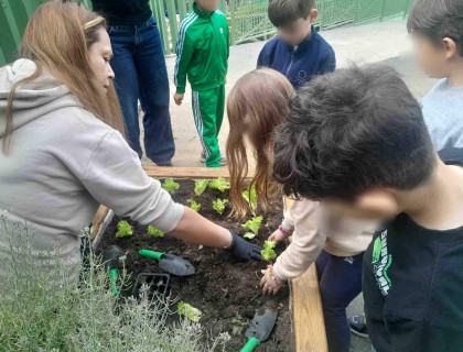 Η πρώτη μας σοδειά