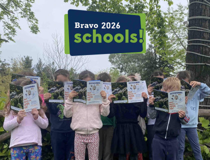 Ψηφίστε μας στον διαγωνισμό Bravo schools!