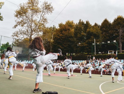 Τμήμα Tae kwon do: Τεχνικές και βηματισμοί μιας πολεμικής τέχνης