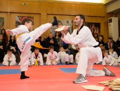 Τα Δημοτικό μας διαπρέπει και στις πολεμικές τέχνες&#33;