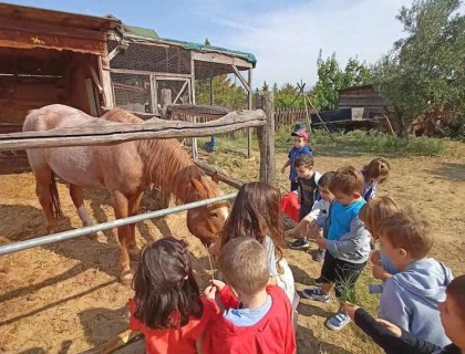 Γνωρίσαμε το Αγρόκτημα Παρτάλη