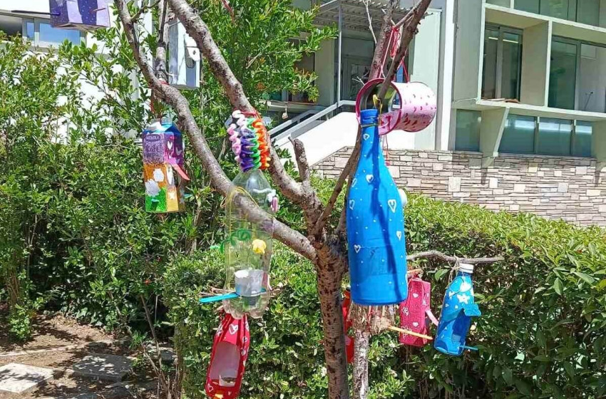 Ταίστρες πουλιών Ταίστρες πουλιών