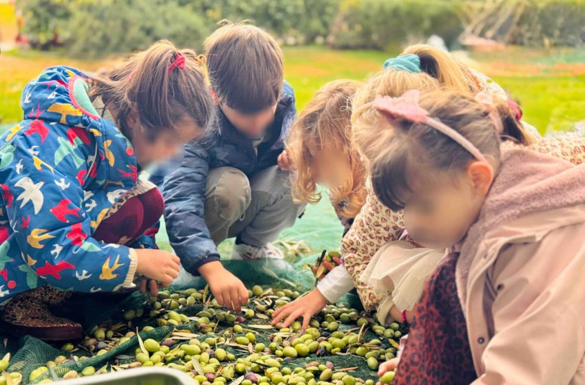 Λάδι, το πολυτιμότερο αγαθό που παράγουμε από τον ελαιώνα μας