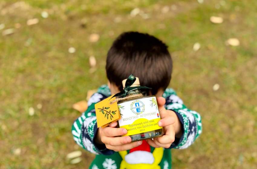 ΠΑΡΟΥΣΙΑΣΗ ΑΕΙΦΟΡΙΚΩΝ ΔΡΑΣΕΩΝ ΠΑΡΟΥΣΙΑΣΗ ΑΕΙΦΟΡΙΚΩΝ ΔΡΑΣΕΩΝ