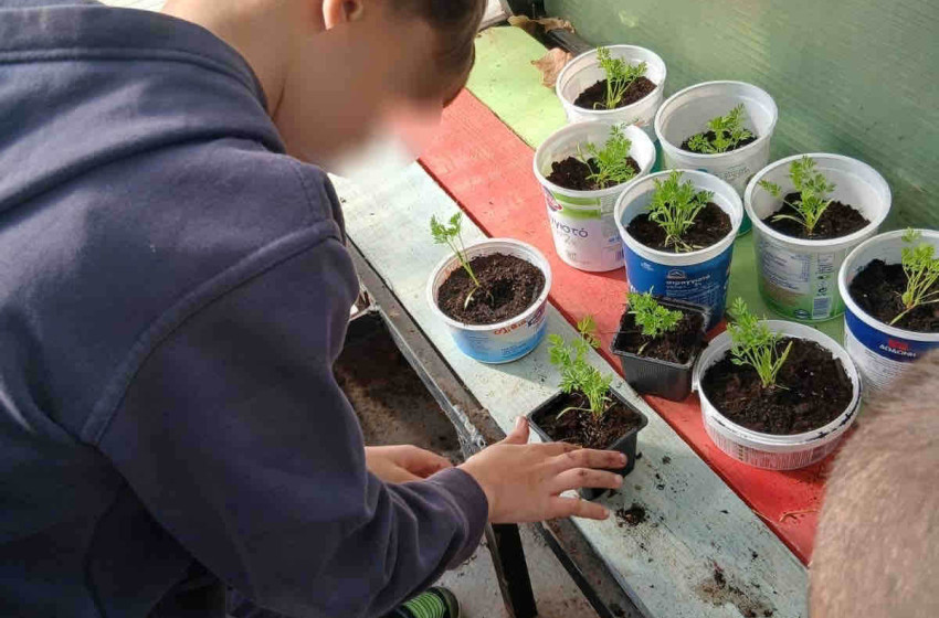 Φροντίζουμε για να έχουμε τον πιο πλούσιο λαχανόκηπο