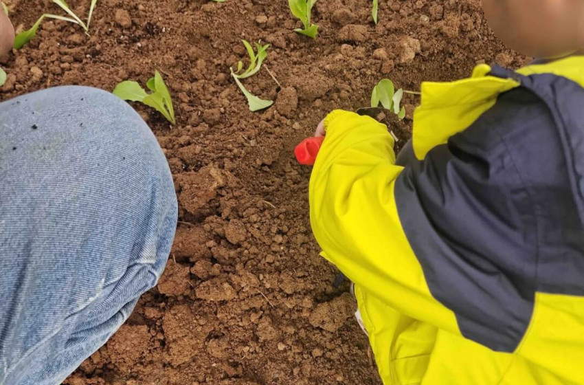 Φυτεύουμε τα πρώτα λαχανικά