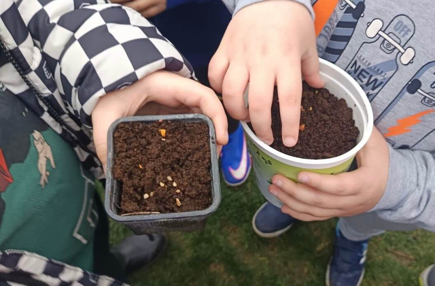 Μαθαίνουμε για τους σπόρους...φυτεύοντας το μέλλον!