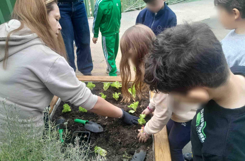 Η πρώτη μας σοδειά