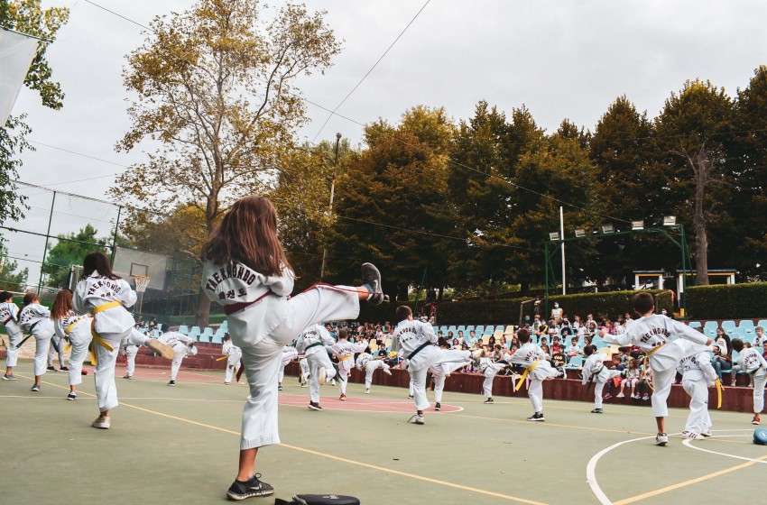 Τμήμα Tae kwon do: Τεχνικές και βηματισμοί μιας πολεμικής τέχνης