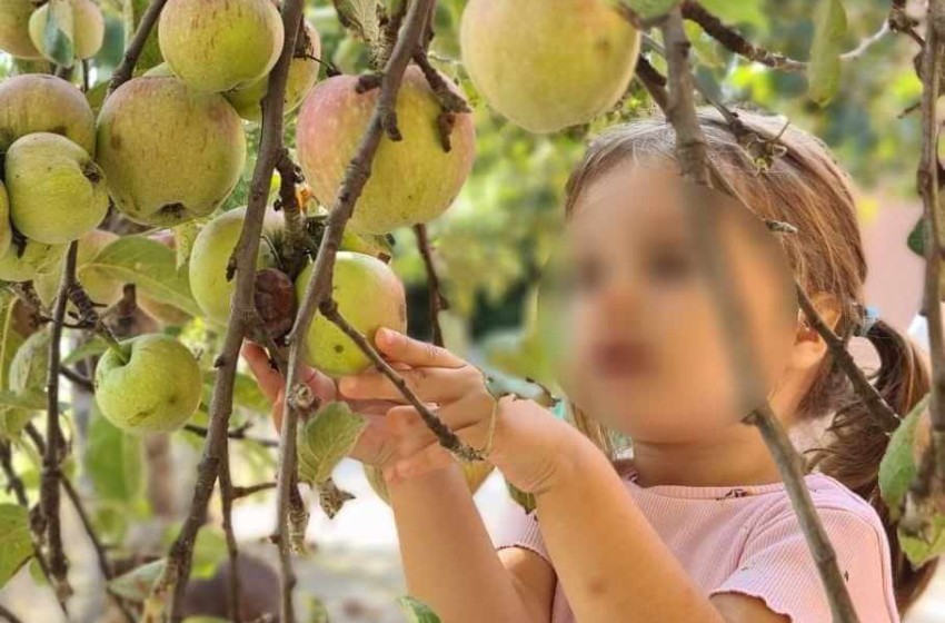 Η μαγεία του φθινοπώρου