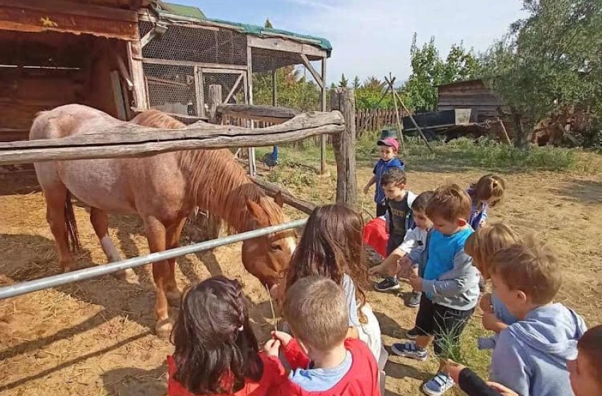 Γνωρίσαμε το Αγρόκτημα Παρτάλη